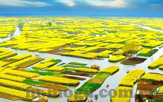 国产精品麻豆视频-品味中华原创魅力，国产精品麻豆视频的视觉盛宴
