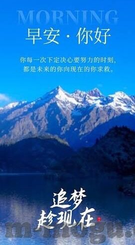 下载糖心app 破解-揭开下载与破解风险，糖心应用的警示